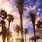 Orange County Beaches