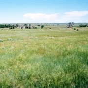 Oglala National Grassland