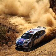 Passenger in a Rally Car