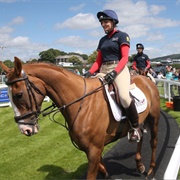 British Thoroughbred