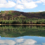 Troutbeck, Inyanga, Zimbabwe