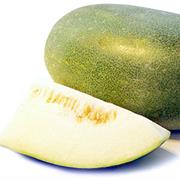 Winter Melon