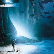 You Know at Least 5 Spells From Harry Potter