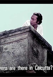 Chalchitra (The Kaleidoscope) (1981)