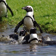 Aqua Zoo Friesland, Leeuwarden, Netherlands
