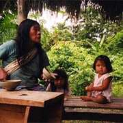 Oral Heritage of the Zápara People, Ecuador