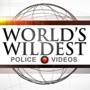 World's Wildest Police Videos