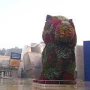 Puppy Sculpture, Bilboa, Spain