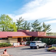 Crimson Beech (Staten Island, NY)