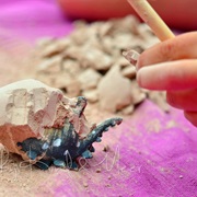 Plaster Dinosaur Eggs