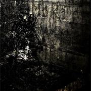 Blut Aus Nord - Mort