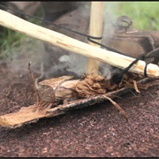 Undergo Survival Training