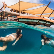 Have a Drink at Cloud 9 Floating Bar in Fiji