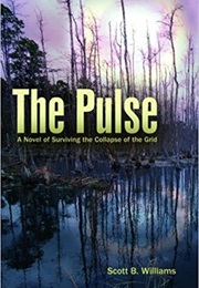 The Pulse: A Novel of When America's Grid Goes Black (Scott B. Williams)
