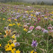 Sibillini Mountains National Park, Italy