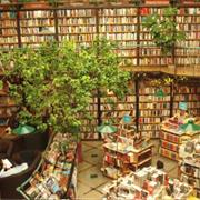 El Péndulo, Mexico City