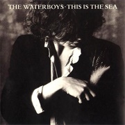 The Waterboys - This Is the Sea (1985)
