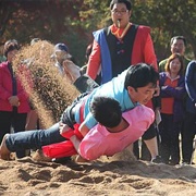 Traditional Korean Wrestling