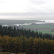 Roe Estuary Nature Reserve