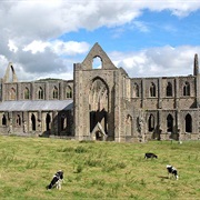 Tintern Abbey - United Kingdom