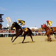 The Birdsville Races, Birdsville, Queensland.