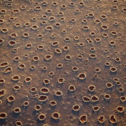 Termite Circles, Namibia