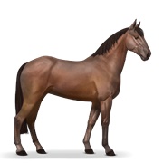 French Trotter - Bay