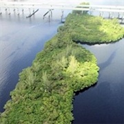 Caloosahatchee National Wildlife Refuge