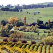 Orange, New South Wales