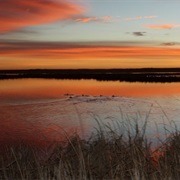 Long Lake National Wildlife Refuge