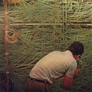 P.E.E. – the Roaring Mechanism (1998)