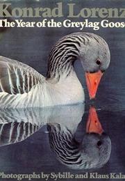 The Year of the Greylag Goose