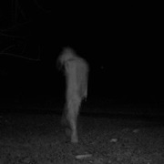 Oregon - The Bandage Man of Cannon Beach