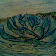 Water Element Dragon