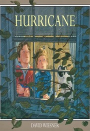 Hurricane (David Wiesner)
