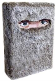 The Wild Things, by Dave Eggers