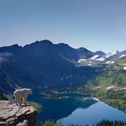 Visit Waterton Glacier International Peace Park, AB
