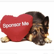 Sponsor an Animal