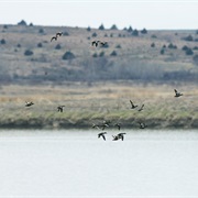 Red Willow Reservoir State Recreation Area, Nebraska
