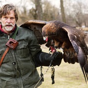 Take a Falcony Class