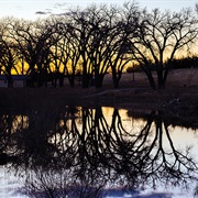 Smoky Gardens/Soldiers Memorial Park