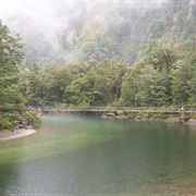 Hiking Milford Track, New Zealand