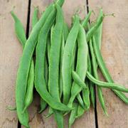 Runner Beans