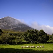 Croagh Patrick, Ireland