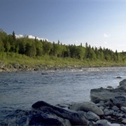 St. John River Forest, Maine