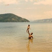 Providencia – D.I.E.T.R.I.C.H. (2014)