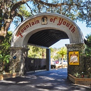 Drank From the Fountain of Youth