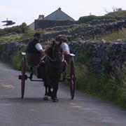 Inishmore, Arran