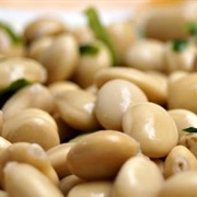 Tarwi / Andean Lupin (Lupinus Mutabilis)