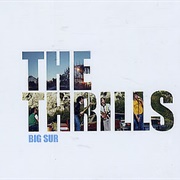Big Sur - The Thrills